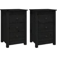 vidaXL Nachtkastjes 2 st 40x35x61,5 cm massief grenenhout zwart