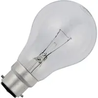Schiefer Ba22d Gloeilamp | 25W 2700K 220lm 48V | Dimbaar