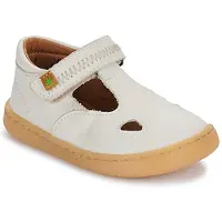El naturalista Ballerina's 5341 kind 24