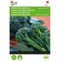 Buzzy Zaden sprouting broccoli montobello f1 20 zaden