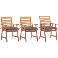 vidaXL Tuinstoelen 3 st met kussens massief acaciahout