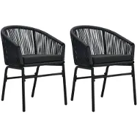 vidaXL Tuinstoelen 2 st PE-rattan zwart