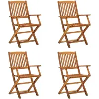 vidaXL Klapstoelen 4 stuks van massief acaciahout