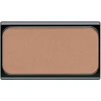 Artdeco Complexion Powder & Rouge Blusher No. 02