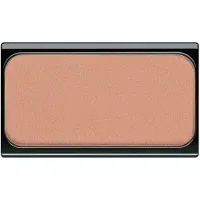 Artdeco Complexion Powder & Rouge Blusher No. 13