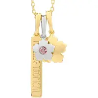 Secrecy P7154cdawwc93 Ketting