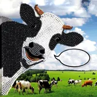 Brandunit Diamond painting - kaart van een grappige koe
