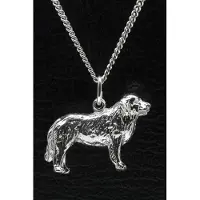 MOOYE ® - Collectie Zilveren New foundlander ketting hanger - groot