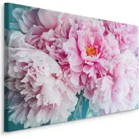 Karo-art Schilderij - Pioen rozen , print op canvas, premium print , Wanddecoratie