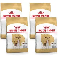 Royal Canin Beagle Adult - Hondenvoer - 4 x 3 kg