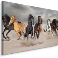 Karo-art Schilderij - Kudde wilde paarden, premium print, wanddecoratie