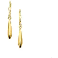 The Jewelry Collection Geelgouden Oorhangers brisur haak 4001429
