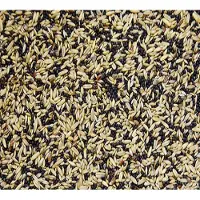 Vogro Eco-kanarie zangzaad - kanarievoer - kanariezaad 5 kg.