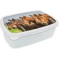 MuchoWow Broodtrommel Wit - Lunchbox Paarden - Hek - Zomer - Brooddoos 18x12x6 cm - Brood lunch box - Broodtrommels voor kinderen en volwassenen