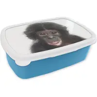 MuchoWow Broodtrommel Blauw - Lunchbox - Brooddoos - Aap - Dieren - Natuur - Chimpansee - 18x12x6 cm - Kinderen - Jongen