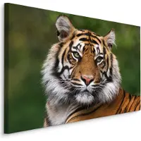 Karo-art Schilderij - Bengaalse Tijger, premium Print, 5 maten