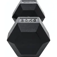 Taurus Hexagon compact dumbbell 27,5 kg – dumbell – zeshoekig – halter – per stuk