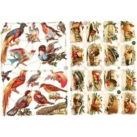 Packlinq Vintage plaatjes, vogels, vel 16,5x23,5 cm, 2 vel/ 1 doos