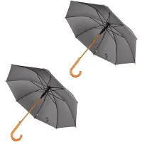 Merkloos Opvouwbare Paraplu Set - Automatisch, Transparant, 98 cm Diameter - Met Grijs Aluminium Frame - 2 Stuks