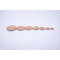 TickiT Natuurlijke Houten Knopen