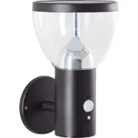 Brilliant zwarte solar buitenwandlamp TULIP | inclusief bewegingssensor | 3W, 430 lm, 3000 K | roestvrij staal/kunststof