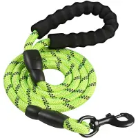 Intirilife reflecterende nylon hondenriem dierenriem in groen met 1.5 meter lengte voor het uitlaten van uw huisdier