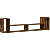 vidaXL Tv-meubelen 2 st 100x30x50 cm bewerkt hout gerookt eikenkleurig