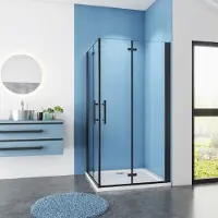 Sanexo Douchecabine Vierkant Black Poppy 100x100 Hoekinstap Dubbele Vouwdeur 6mm Helder Glas Antikalk Zwart
