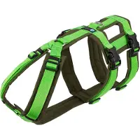 AnnyX Hondentuig - SAFETY - Veiligheidstuig - Anti-Ontsnappingstuig -Olijf-Lichtgroen - maat S - Borstomvang 52-64 cm - Gewicht hond 11-21 kg