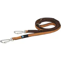 AnnyX verstelbare Hondenriem - SAFETY - Anti Ontsnapping - Kaneel/Bruin - Lengte 3 meter - 2 cm breed - politielijn - Trainingslijn - No Escape