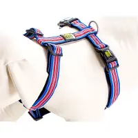 Max & Molly Hampton Strip Harnas / Hondentuigje - Polyester - Blauw - M - Halsomvang: 36 - 58 cm -Borstomtrek: 54 - 69 cm (GELIEVE ALVORENS BESTELLEN OPMETEN)