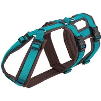 AnnyX Hondentuig - SAFETY - Veiligheidstuig - Anti-Ontsnappingstuig -Bruin-Petrol - maat XS - Borstomvang 43-52cm - Gewicht hond 6 -12 kg