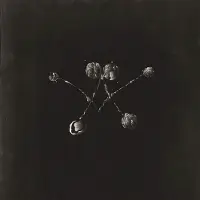 Konkurrent Waterstrider - Nowhere Now (LP)