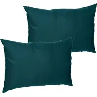 Merkloos Set van 2x stuks bank/sier/tuin kussens voor binnen en buiten in de kleur emerald groen 30 x 50 x 10 - tuinstoelkussens