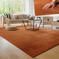 Paco Home Moderne woonkamer tapijt kortpolig wasbaar zacht uni effect bont antislip 100x200 cm