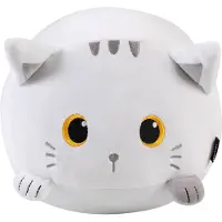 I-Total - Kussen de witte kat - wit - kinderkussen - kussen Kinderkamer - Fun kussens - Sierkussen- zacht kinderkussen - pluche kinderkussen