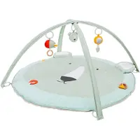 Trixie Mr. Polar Bear speelmat + babygym mintgroen unisex