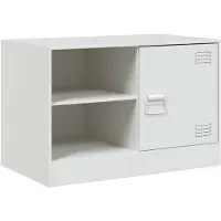 vidaXL Tv-meubel 67x39x44 cm staal wit
