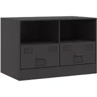 vidaXL Tv-meubel 67x39x44 cm staal zwart