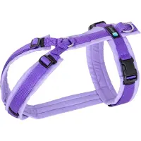 AnnyX Hondentuig - FUN - Speurtuig - Paars/Lila - maat XS - Borstomvang 43-52cm - Gewicht hond 6 -12 kg