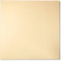 Decorline - 2 x Premium herbruikbaar vierkant kunstof Spiegel Onderbord goud , decoratieve borden, Ø 30 cm als tafeldecoratie voor evenement, bruiloft, verjaardag.