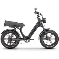 Ape Ryder MD10 Premium Fatbike - 250W motor - 48V/14.5Ah accu - 20 inch