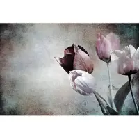 Karo-art Fotobehang Vintage Tulpen - Vliesbehang - 208 x 146 cm