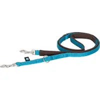 AnnyX Hondenriem -MIDDEL-BOLT-FUN- Verstelbaar - BRUIN -PETROL- lichtgewicht - 2cm breed - Lengte 175cm- kleine honden-korte wandellijn