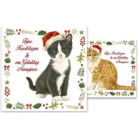 Comello Kerstkaarten - Franciens katten - Poezen met kerstmuts - 2 motieven - 10 st.