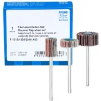PFERD TOOLS 44498031 Lamellenslijper 1 set(s)