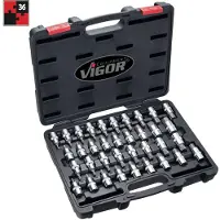 Vigor V2496, 36 stuks, Torx-schroeven