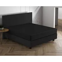 Dreamhouse Double Jersey 220 gr. Hoeslaken Zwart - 160/180 x 200/220 cm