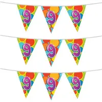 Witbaard 3x stuks leeftijd verjaardag thema vlaggetjes 9 jaar plastic 10 meter - Vlaggenlijnen