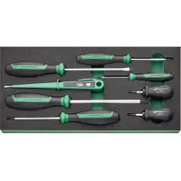 Stahlwille TCS 4620/4640/4734/10554/8 Schroevendraaierset